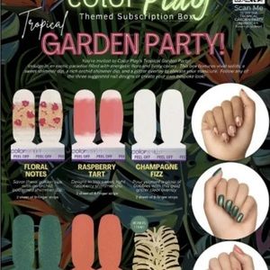 💅COLOR STREET NAIL SUB BOX💅